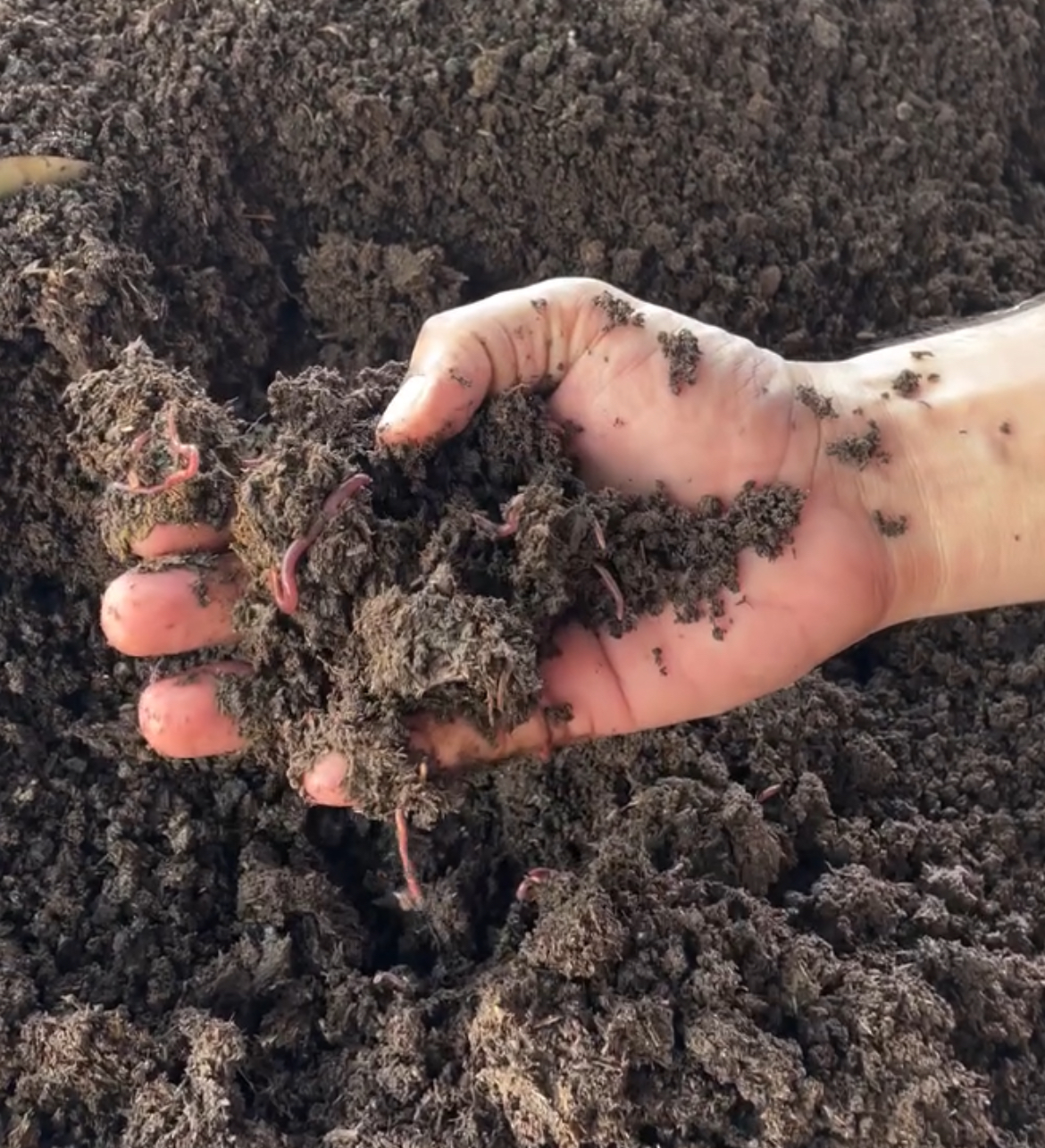 Healthy soil